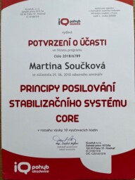 IQ CORE
